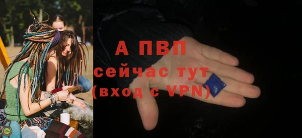 прущие грибы Липки