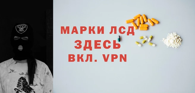 прущие грибы Липки