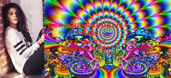 PSILOCYBIN Магадан