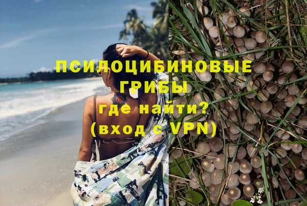 молекула духа Лиски