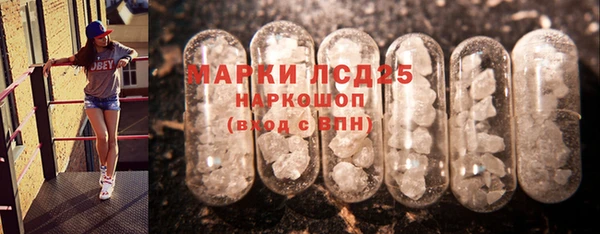 прущие грибы Липки