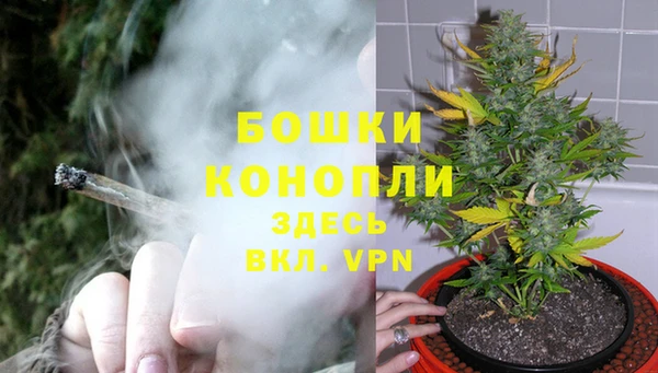 молекула духа Лиски