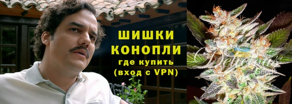 спиды Майский