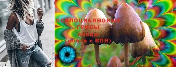 герыч Магас