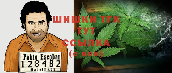 прущие грибы Липки