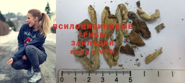 герыч Магас