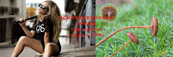 гашик Армянск