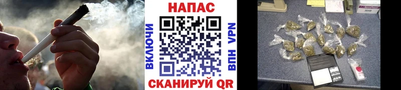 Конопля MAZAR  Староминская 